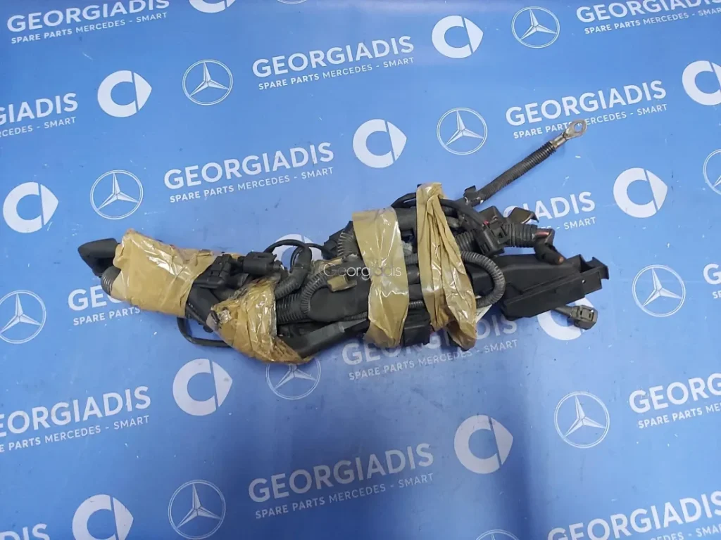 SMART ΚΑΛΩΔΙΩΣΗ ΚΙΝΗΤΗΡΑ (ENGINE WIRING HARNESS) FORFOUR (W454)