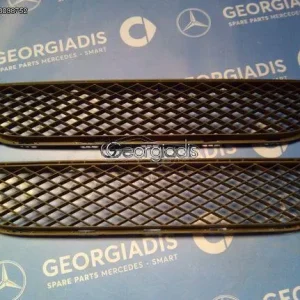 SMART ΔΙΧΤΥ (ΓΡΙΛΛΙΑ) ΠΡΟΦΥΛΑΚΤΗΡΑ ΕΜΠΡΟΣ ΜΕΣΑΙΟ (FRONT CENTER GRILLE) FORTWO (W451)